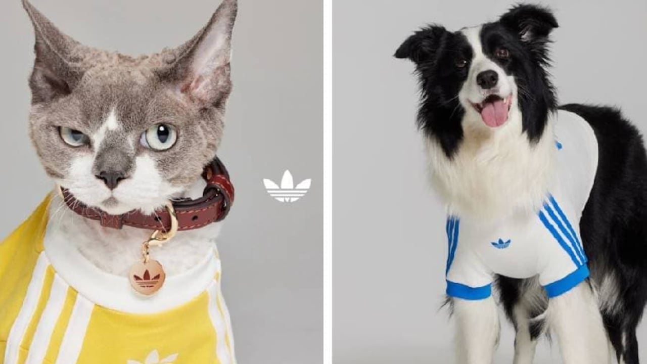 La adidas Originals Pets Collection 2025 le encantará a tus amigos peludos