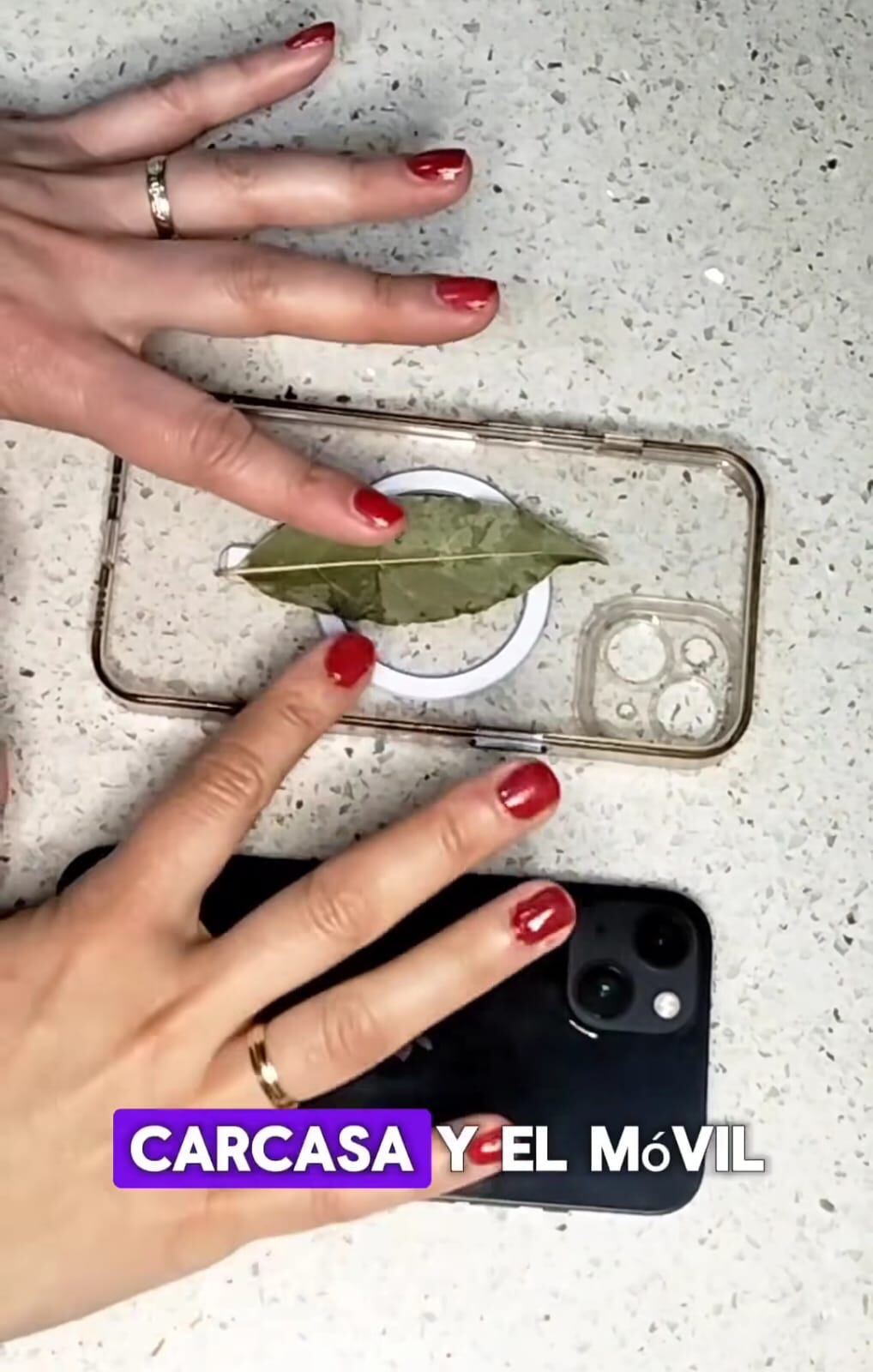 Una hoja de laurel dentro de la funda del celular podría llevarlo a alcanzar lo que desea. Esto dice una usuaria en Insagram conocida como @magiayritualesconMaría. Foto tomada de redes
