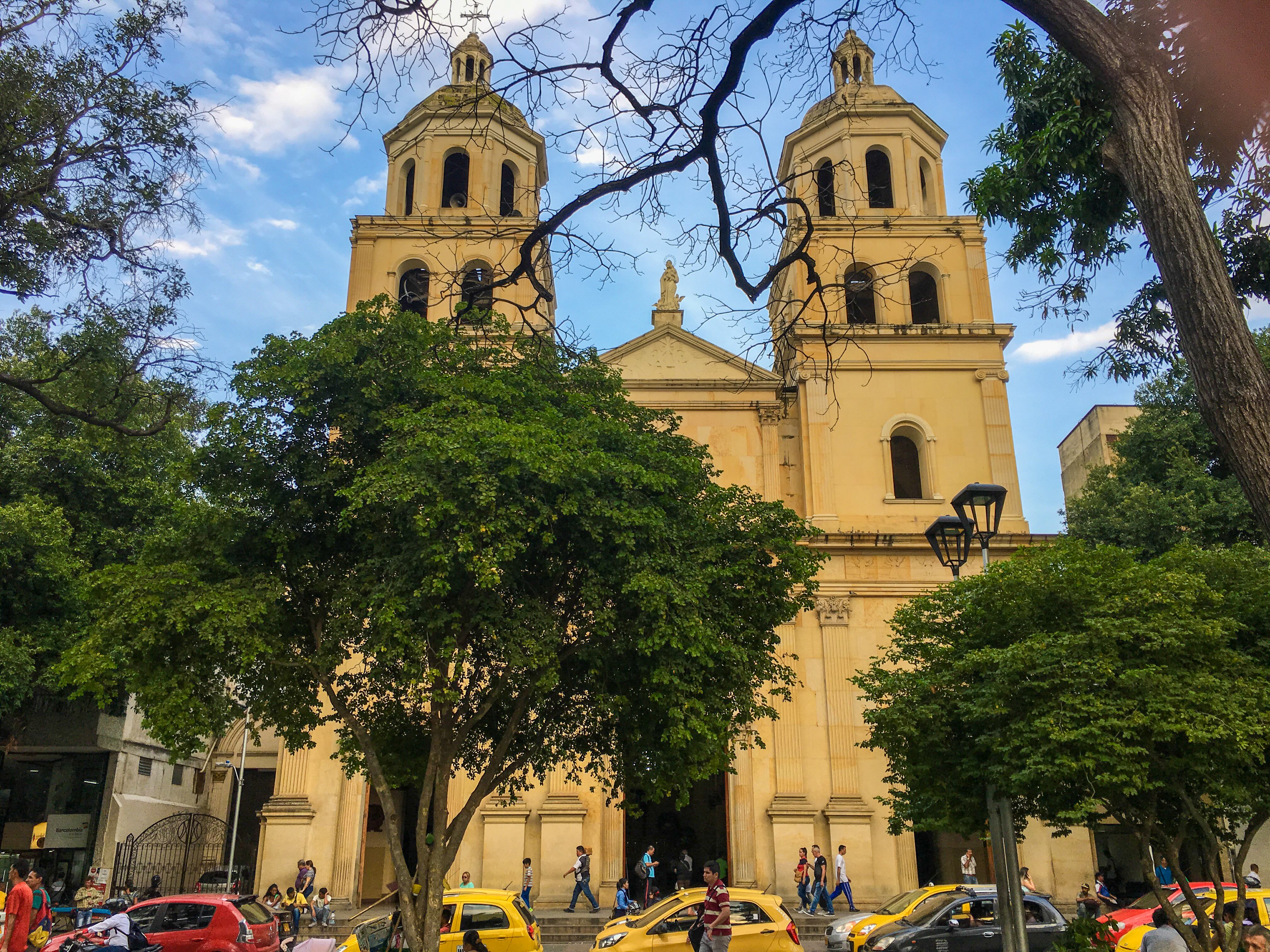 La meta de la alcaldía de Cúcuta es sembrar 100.000 árboles antes de que finalice la actual administración.