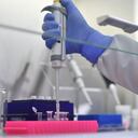 En el Centro de Investigaciones en Ciencias de la Vida (CICV) se podrán estudiar agentes biológicos de alto riesgo para la salud humana