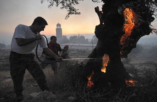 Un bombero voluntario utiliza una manguera para rociar agua en un árbol ardiente, el fondo se ve el convento de Nea Makri, en el norte de Atenas.