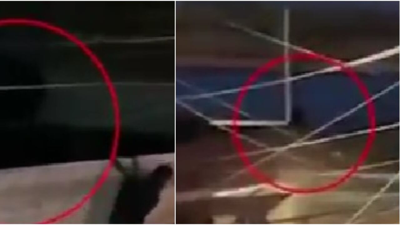 El video de la supuesta bruja en Cali tiene cientos de reproducciones en redes sociales.