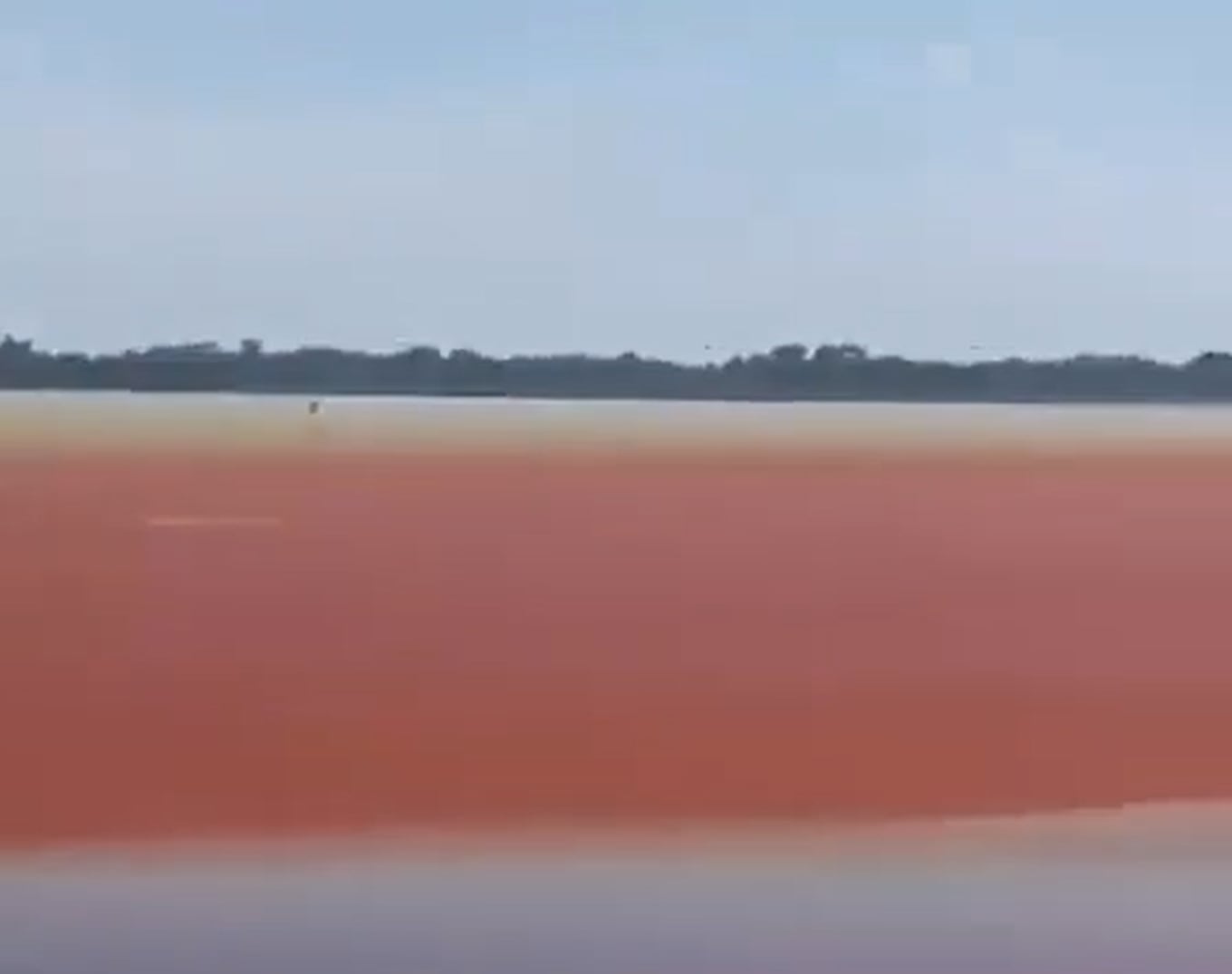 Advierten que una cuarta parte de la ciénaga se secó o quedó en sedimento.