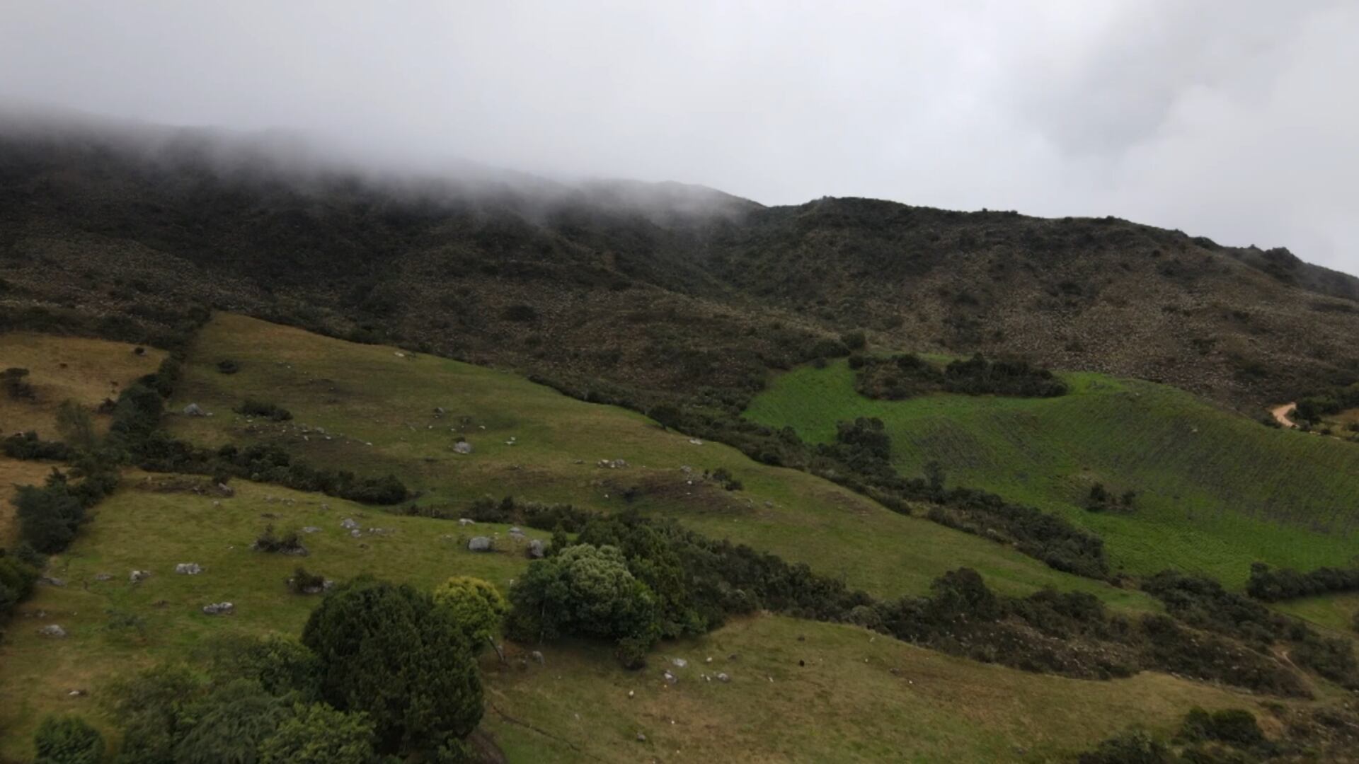 El páramo de Sumapaz es uno de los principales ecosistemas de páramo que existen en el país. Alli habitan especies únicas de flora y fauna, siendo la mayor reserva biótica de los andes colombianos.