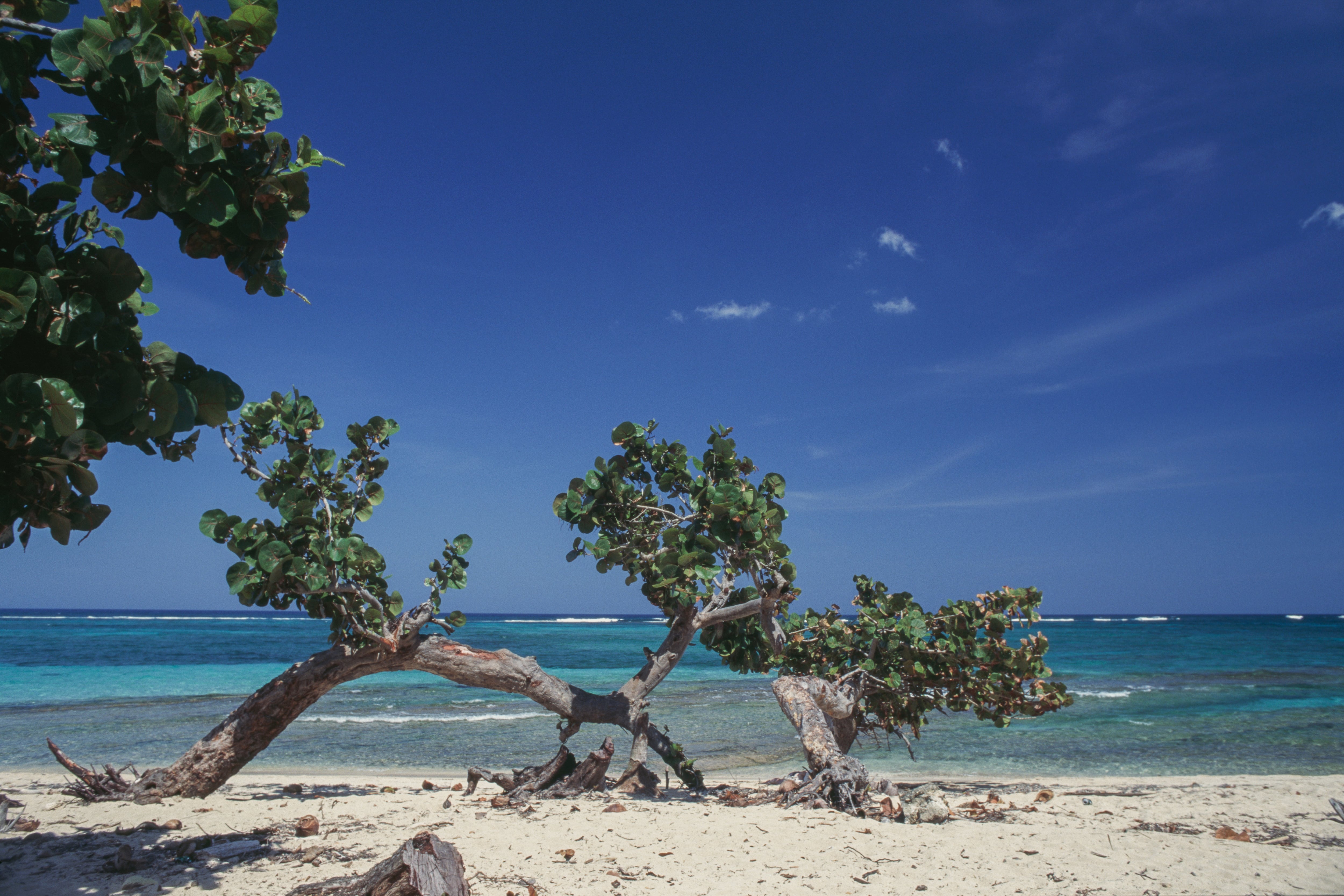 Playa en Baracoa, Cuba
