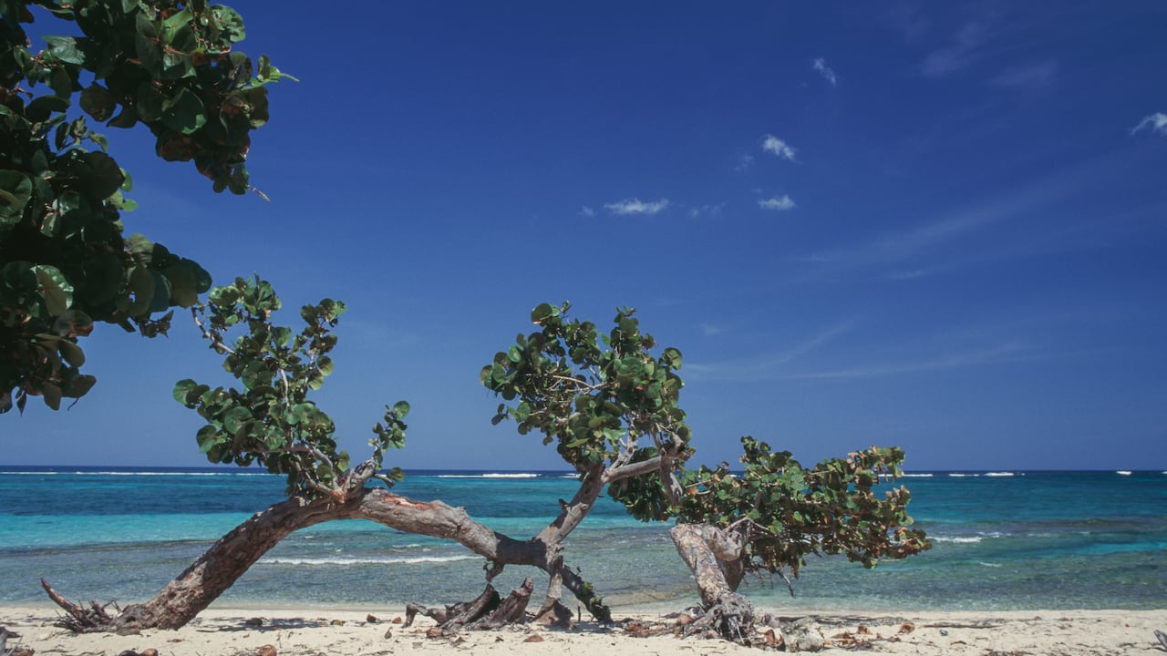Playa en Baracoa, Cuba