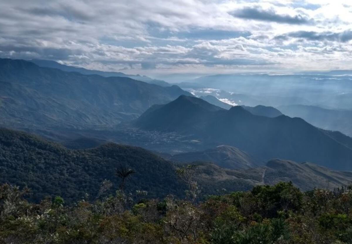 El guacamayo, Santander