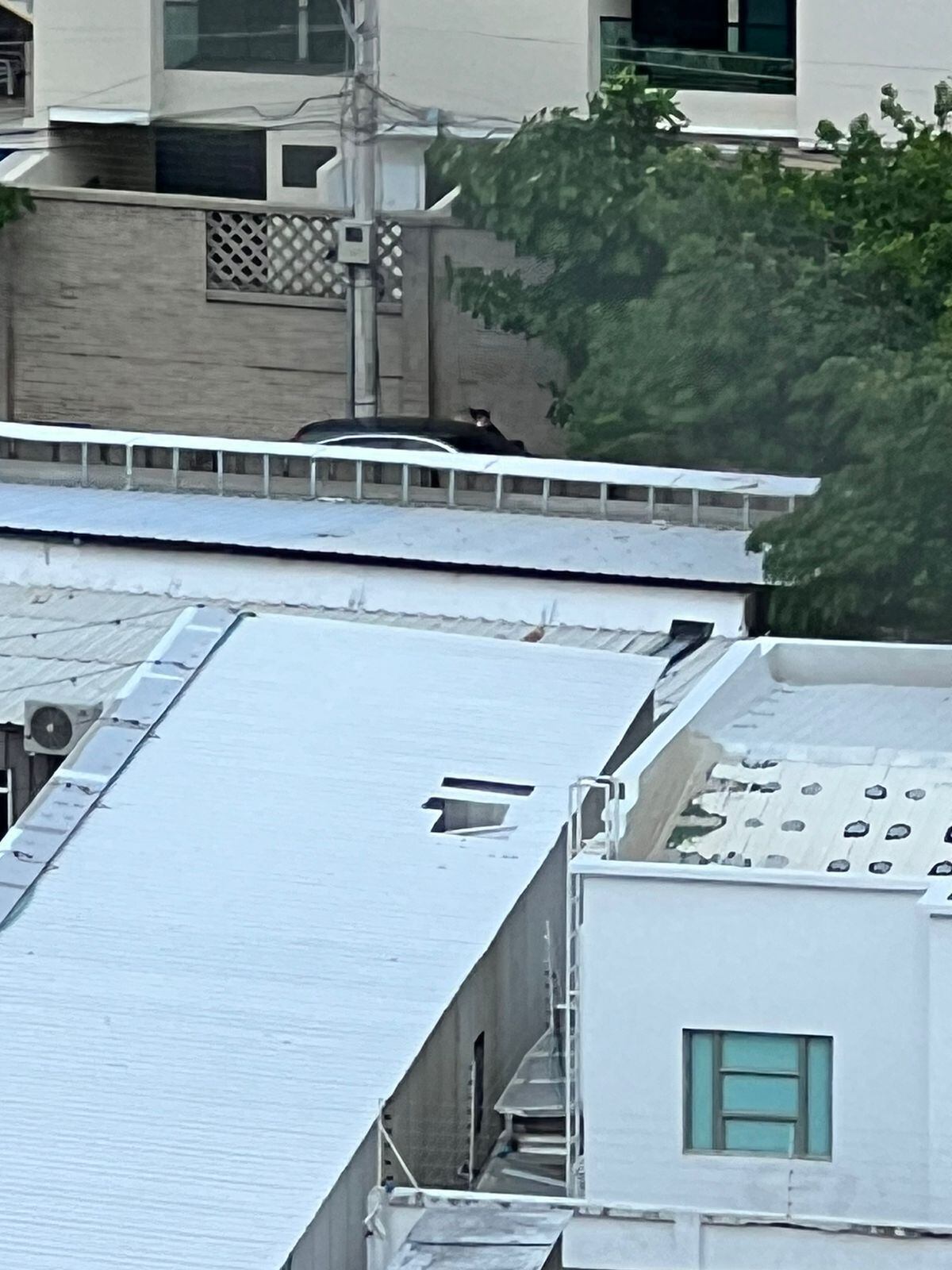 Masacre en Villa Campestre