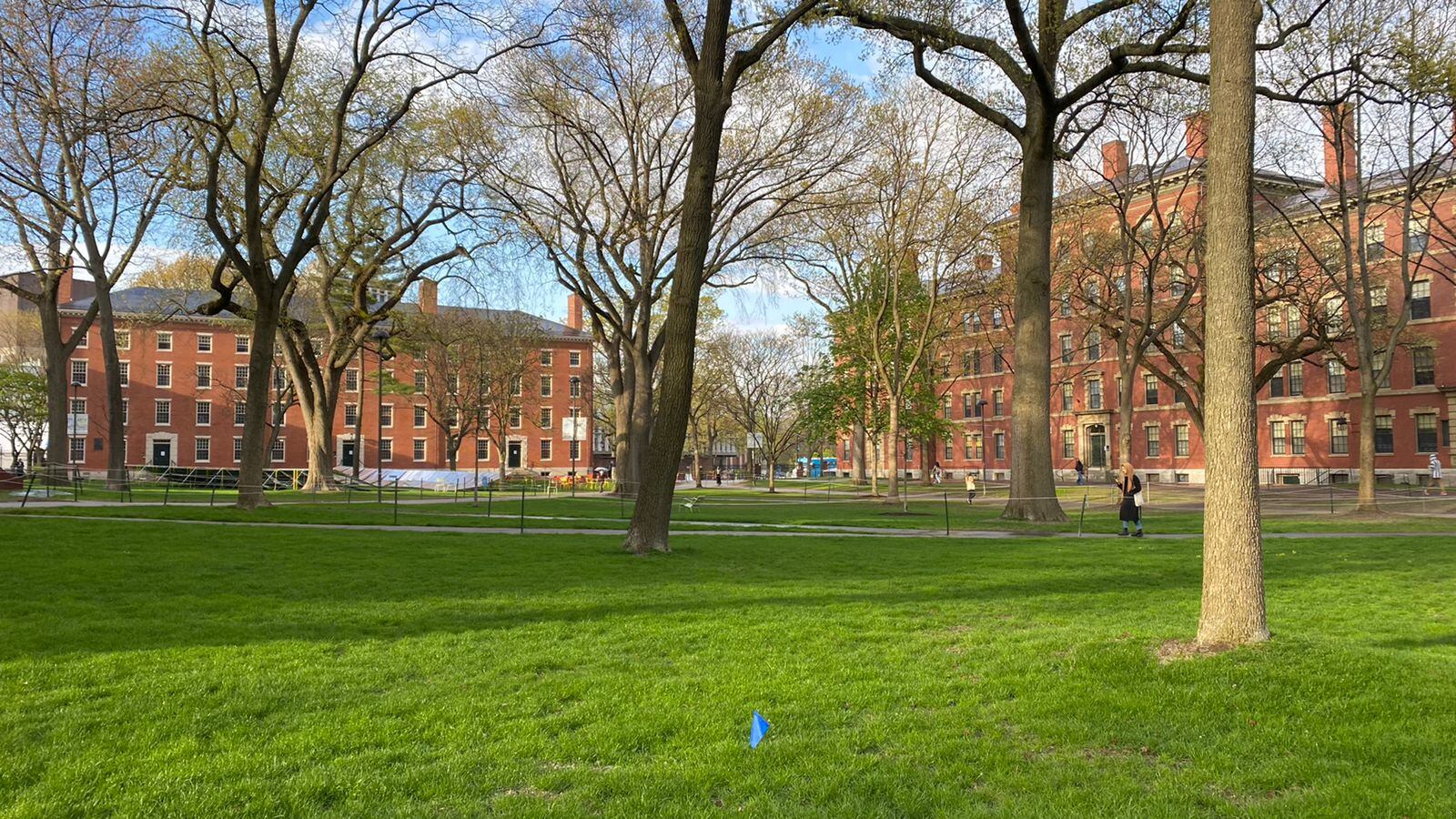 Campus Universidad de Harvard y escultura de John Harvard.