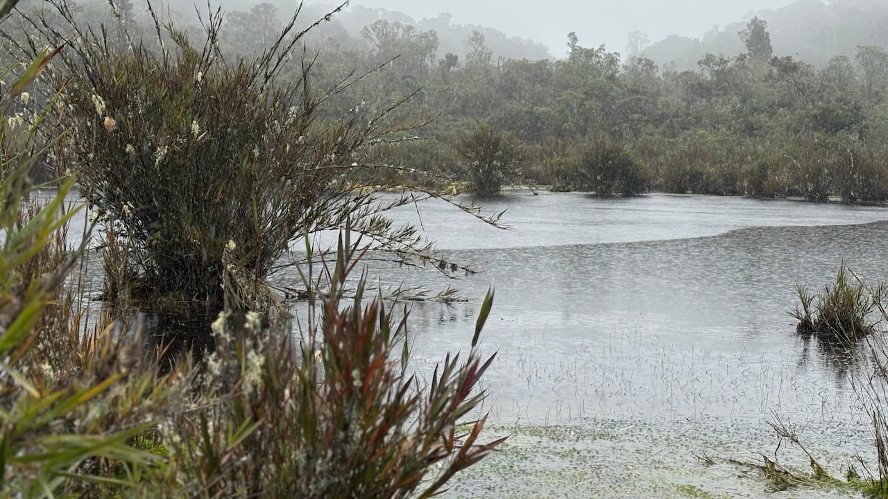 El Palmar Reserva Ecológica- Zona de amortiguación del Parque Nacional Natural Chingaza.