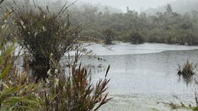 El Palmar Reserva Ecológica- Zona de amortiguación del Parque Nacional Natural Chingaza.