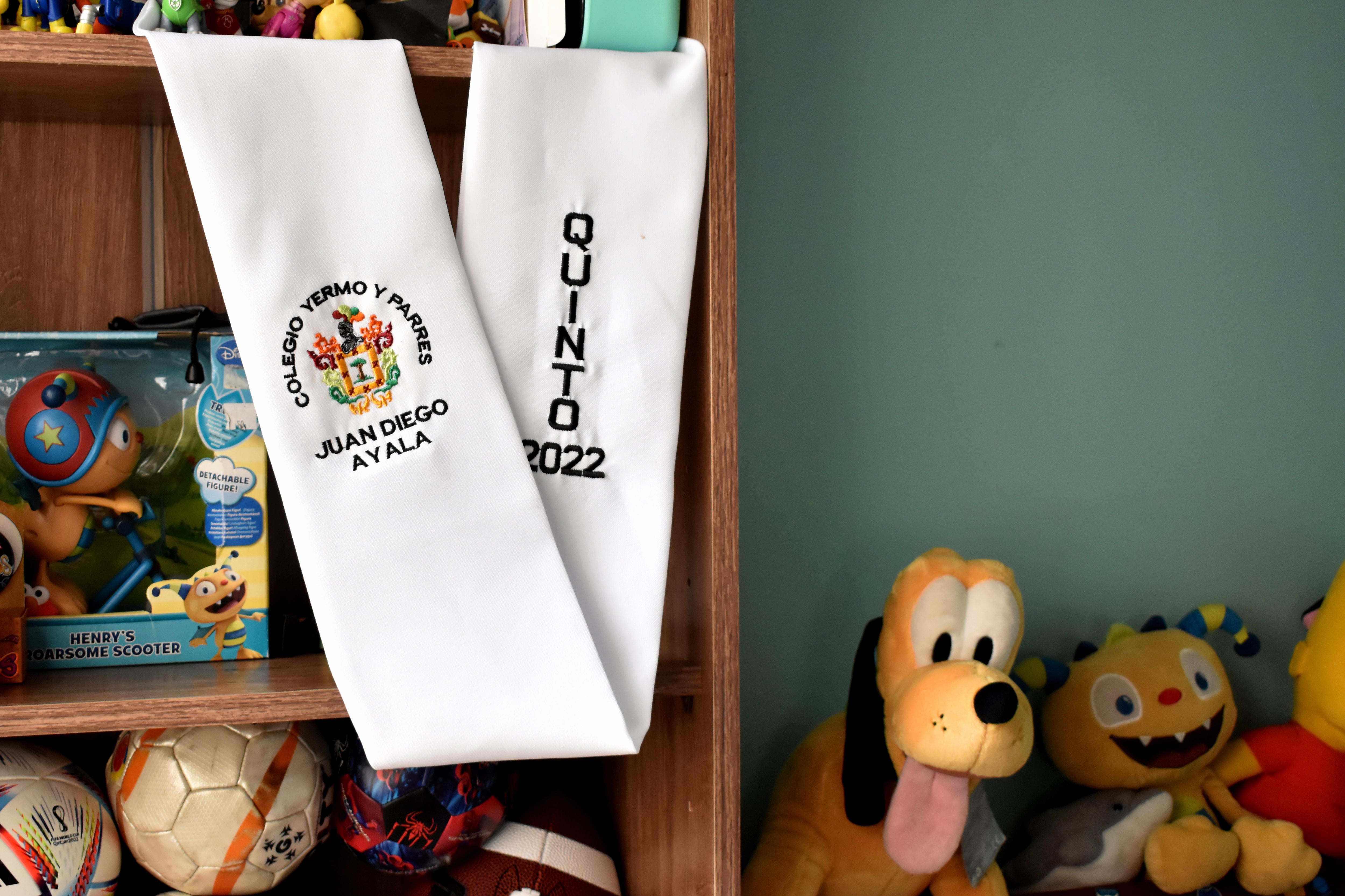 JUAN DIEGO AYALA VELEZ