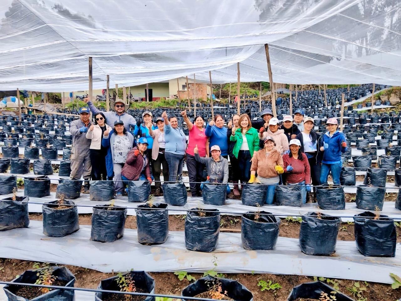 Mujeres en Nariño trabajan con proyectos agrícolas productivos impulsados por la representante Teresa Enríquez