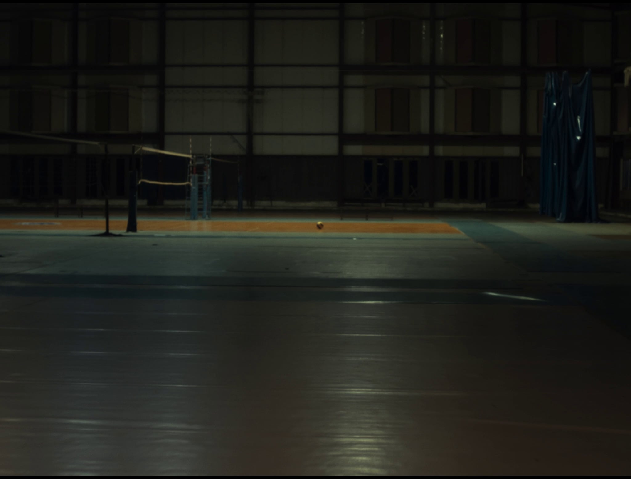 Leinad Pájaro de la Hoz - Un pájaro voló