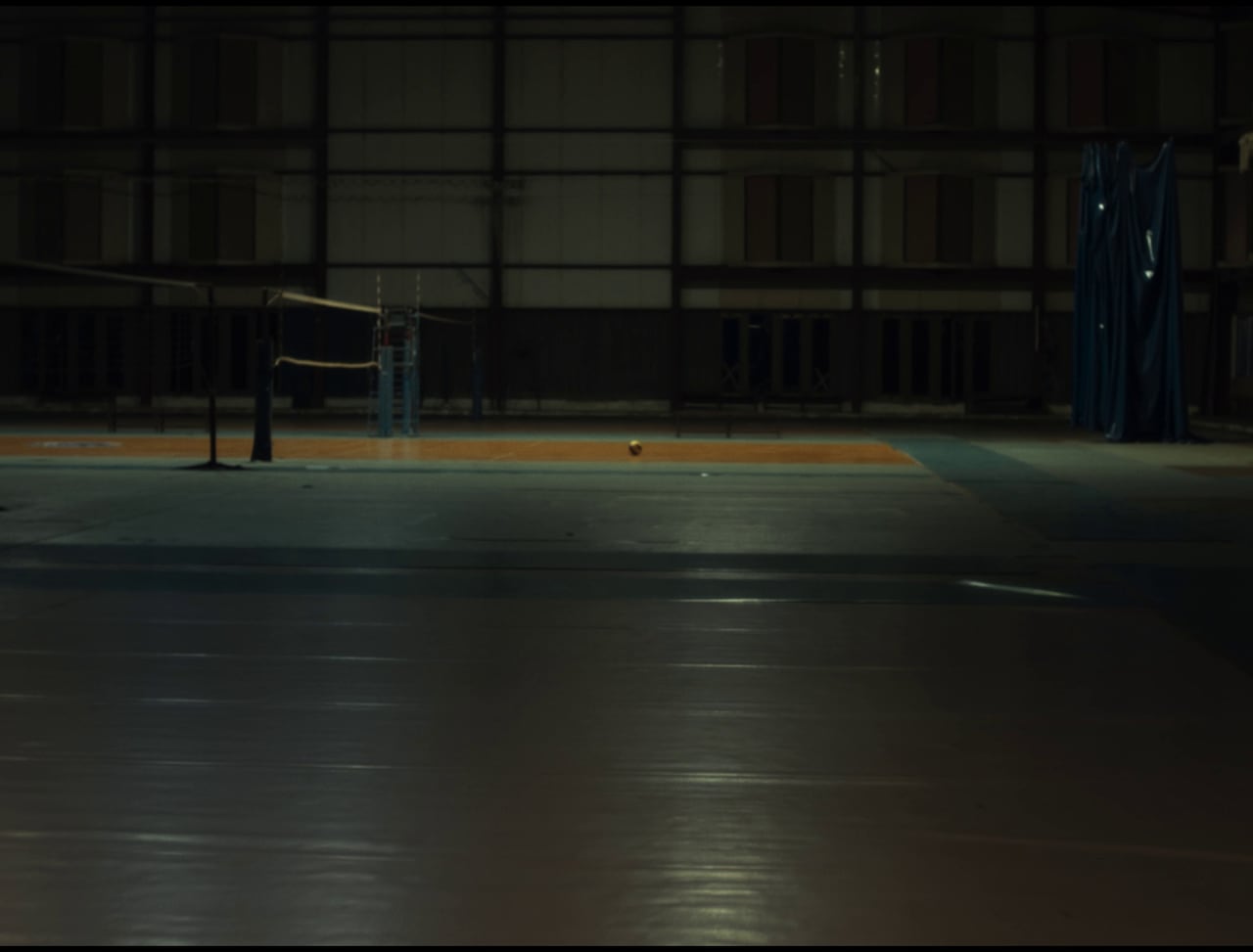 Leinad Pájaro de la Hoz - Un pájaro voló