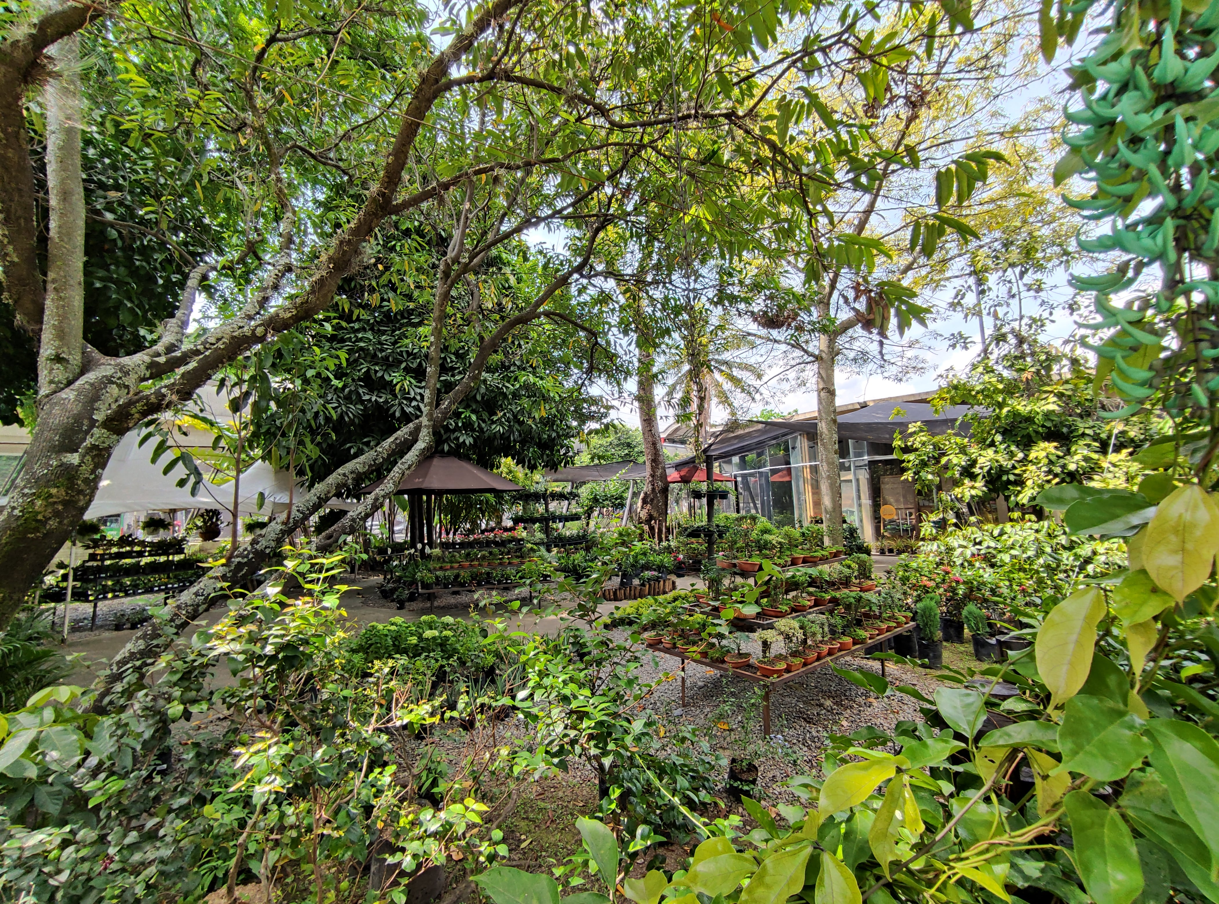 El de Medellín, es el segundo jardín botánico más importante del país: 13 hectáreas están destinadas a la investigación, la educación y la conservación.