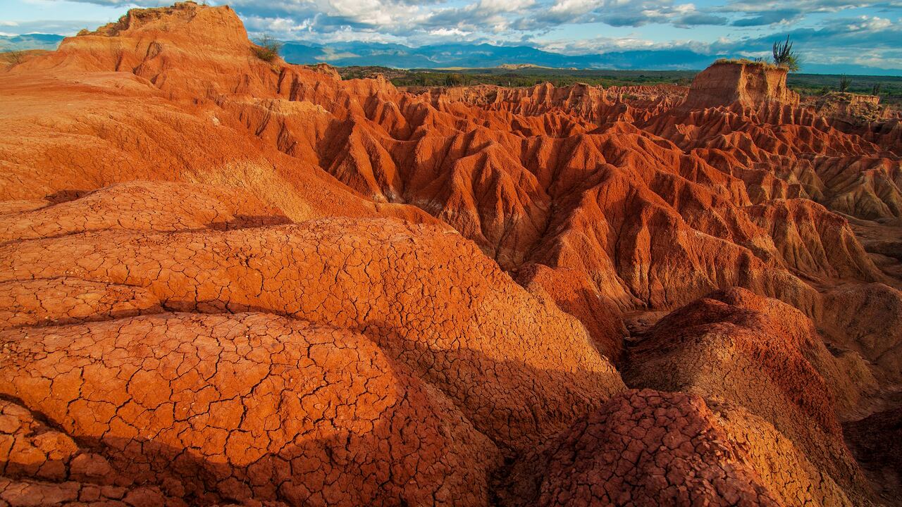 Además, la localidad de La Venta conserva otro excepcional yacimiento paleontológico de la época del Pleistoceno (cerca de 16 mil años), cuya historia más reciente se caracteriza por abarcar las últimas glaciaciones de la Tierra.