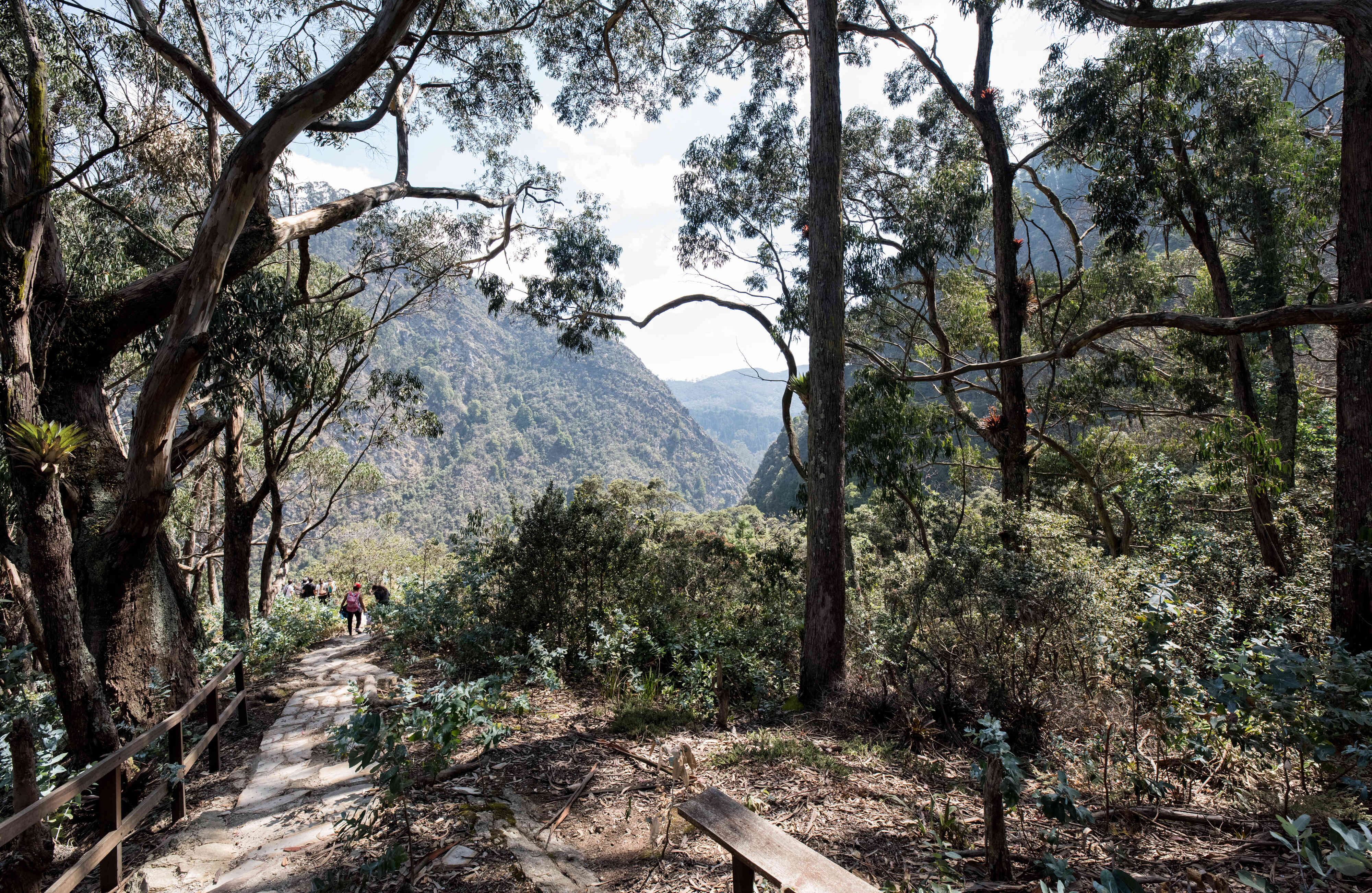 El espectacular homenaje en fotos del embajador de Alemania a Bogotá en su cumpleaños