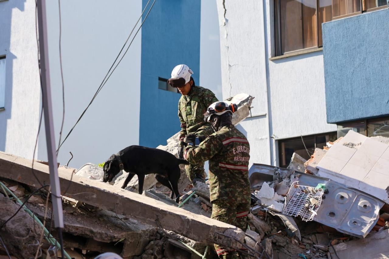 Soldados y caninos buscando sobrevivientes luego del terremoto.