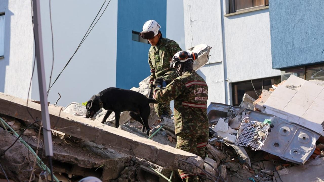 Soldados y caninos buscan sobrevivientes luego del terremoto en Colombia.