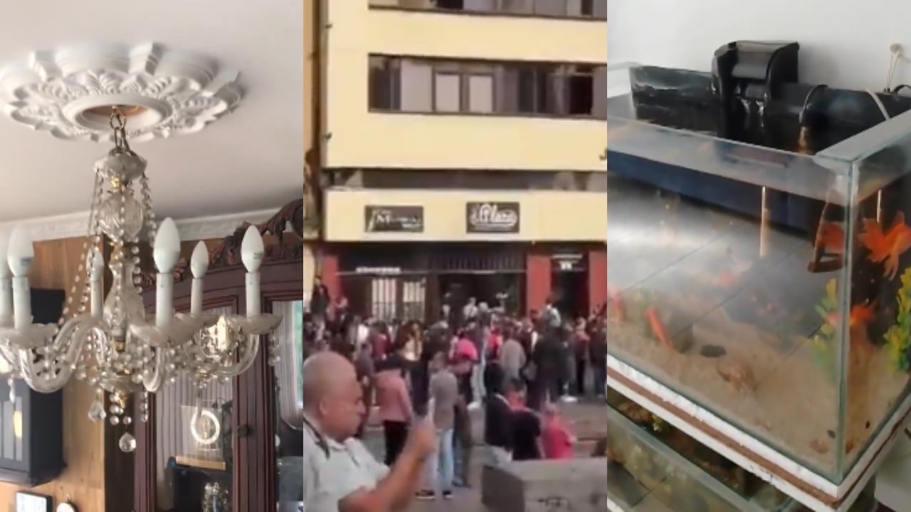 Más de cinco ciudades evidenciaron cómo se sintió el temblor.