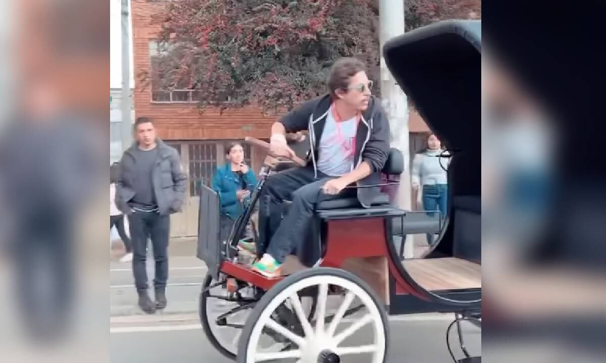 Alejandro Riaño: de la crítica a la propuesta en defensa de los animales en Cartagena.