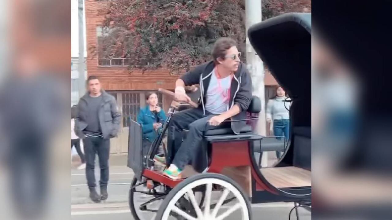 Alejandro Riaño: de la crítica a la propuesta en defensa de los animales en Cartagena.