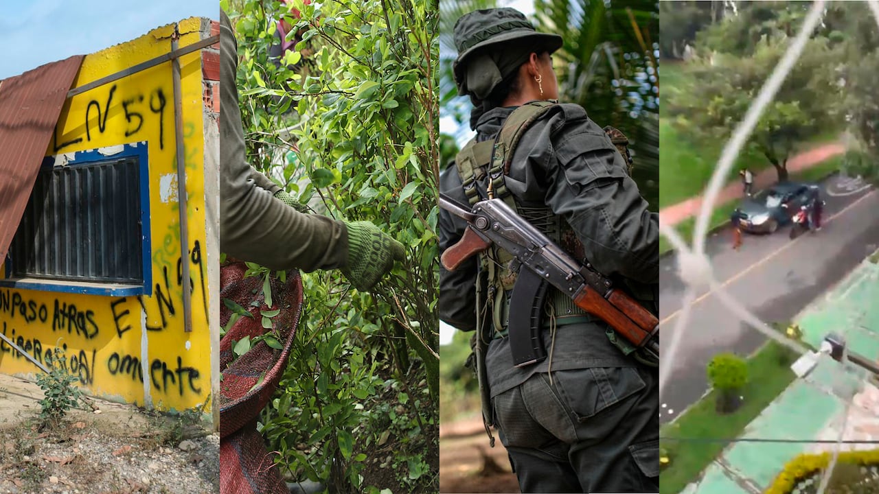 Seguridad, ELN, cultivo coca, guerrilla robos