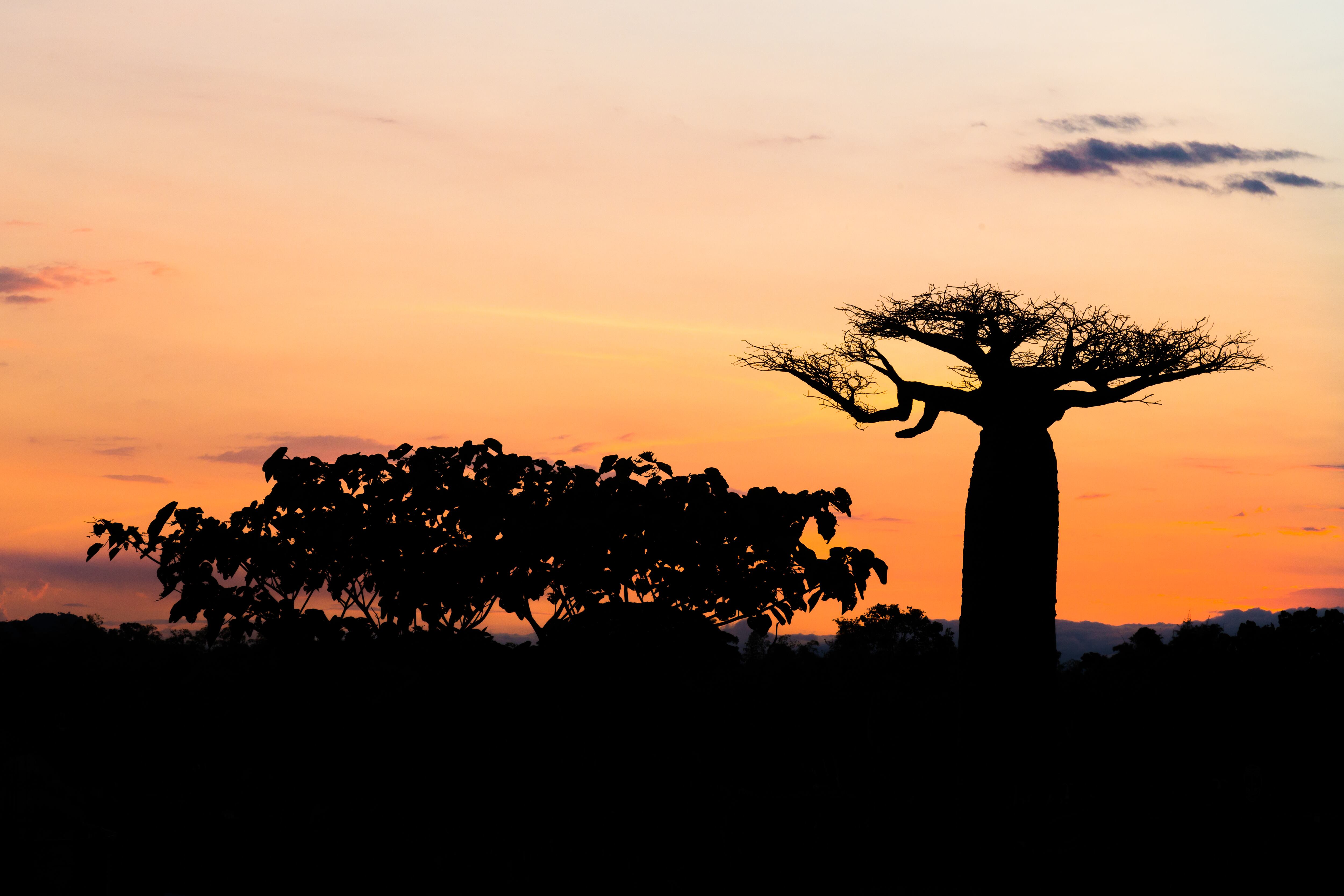 Pereira fue incluida en la lista de las 25 ciudades del mundo que los turistas no se pueden perder hecha por el portal económico Bloomberg