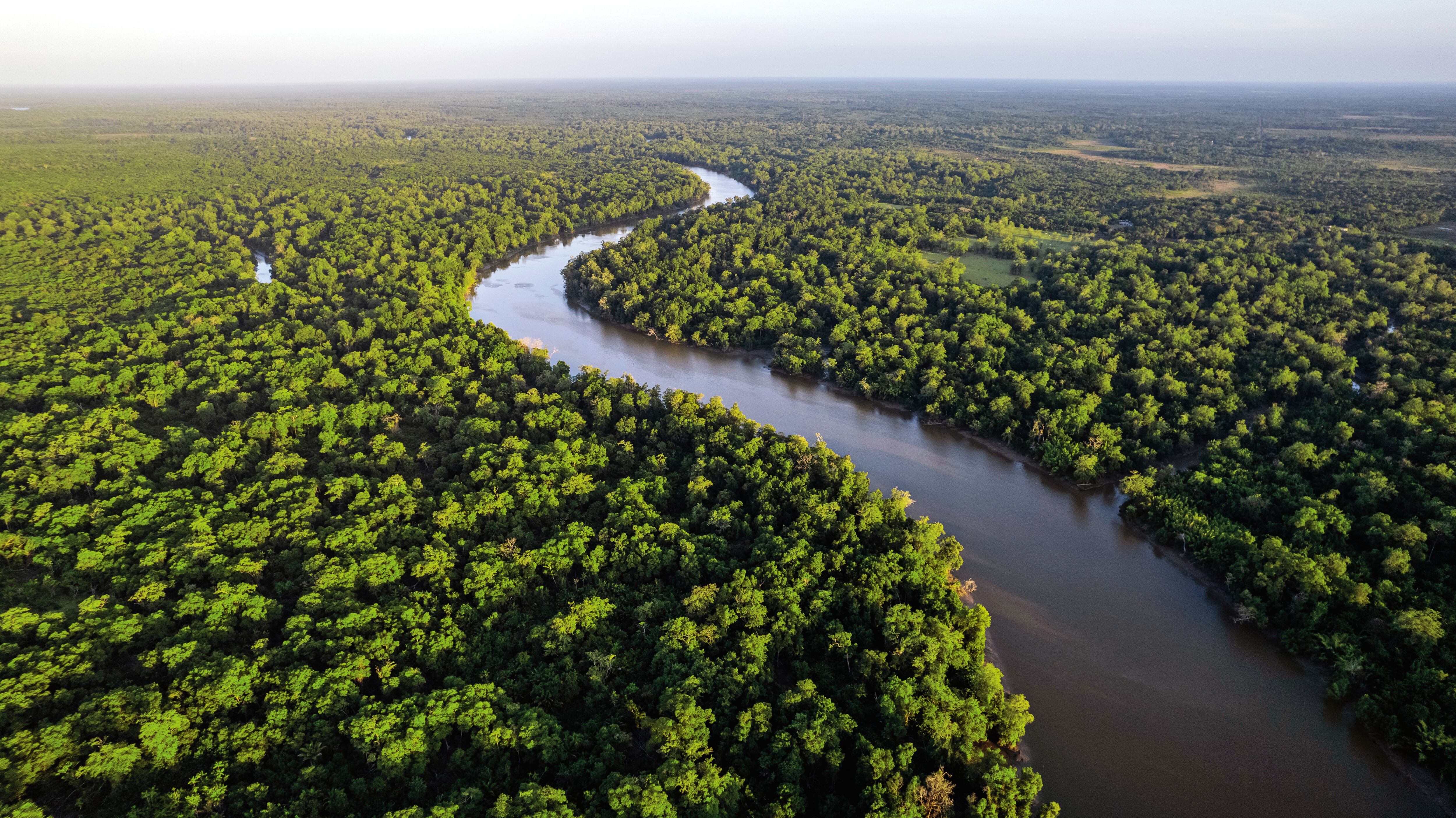 Esfuerzos para detener la deforestación de la Amazonía.