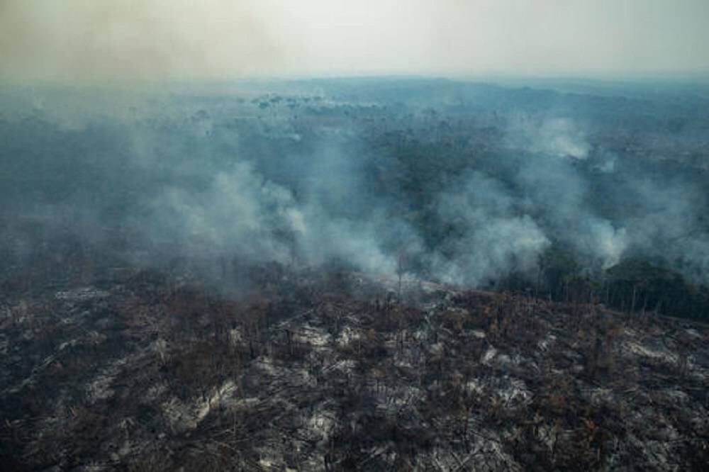 El fuego que se registra en la amazonia de Brasil llevan varias semanas prendido. Foto: Greenpeace