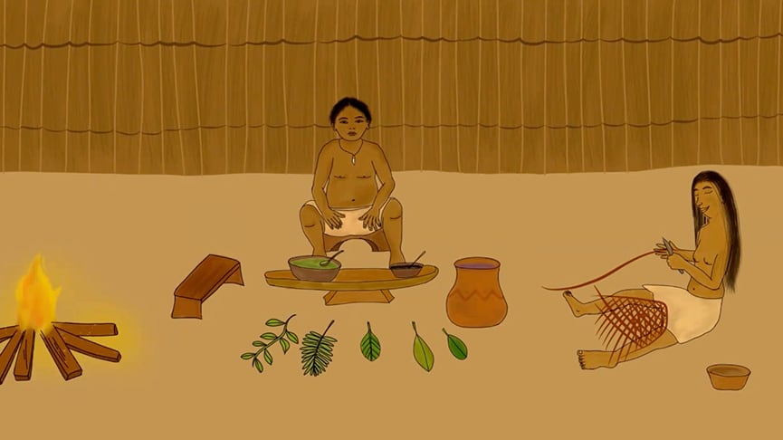 Imagen tomada del corto animado El Origen de la coca, producido por la escuela de comunicación indígena Ka+ Jana Uai.
