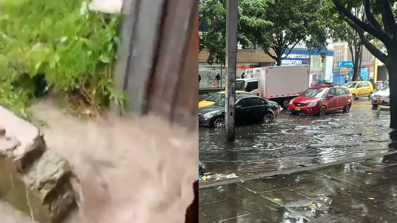 Los organismos de socorro y atención a emergencias están trabajando sin descanso para mitigar los efectos de las lluvias.