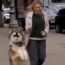 El video tiene un origen desconocido, pero cuenta con miles de reproducciones.