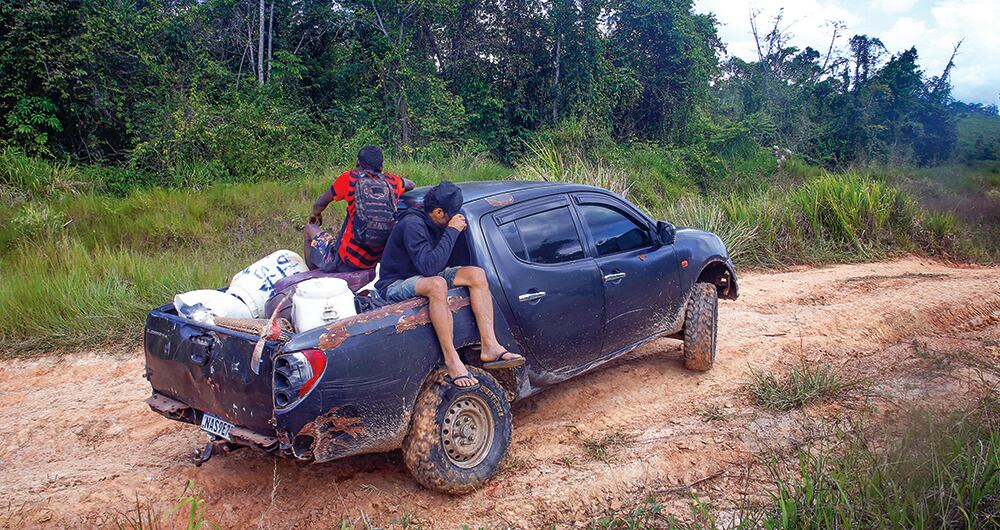 La minería ilegal no solo produce consecuencias irreversibles en el medioambiente, sino que, además, es la culpable de la crisis sanitaria que viven los indígenas: por esta causa sufren de desnutrición crónica y hasta de paludismo. 