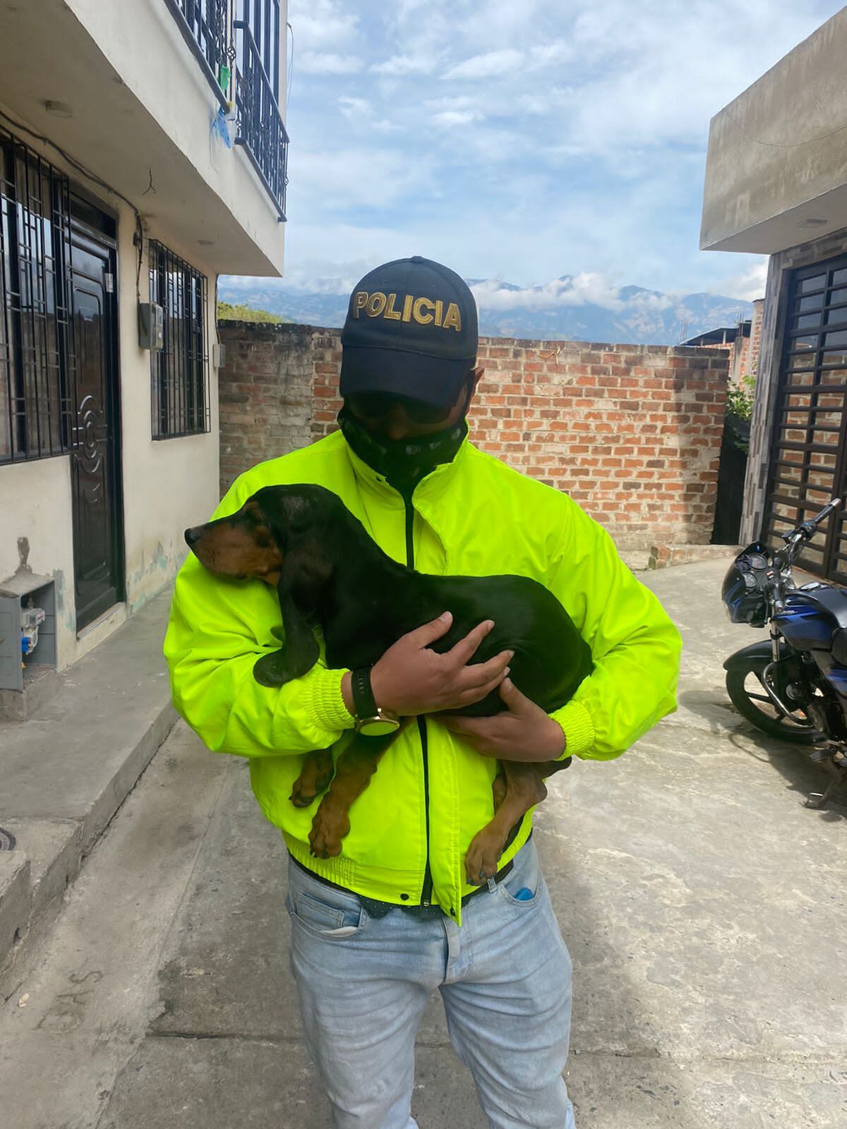 Hombre explotó por 9 años a dos perritos para lucrarse.