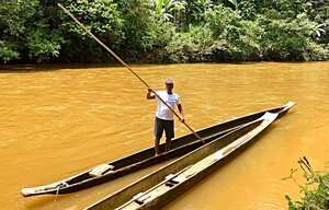 Viaje sonoro a Tutunendo, donde el río huele a rosas