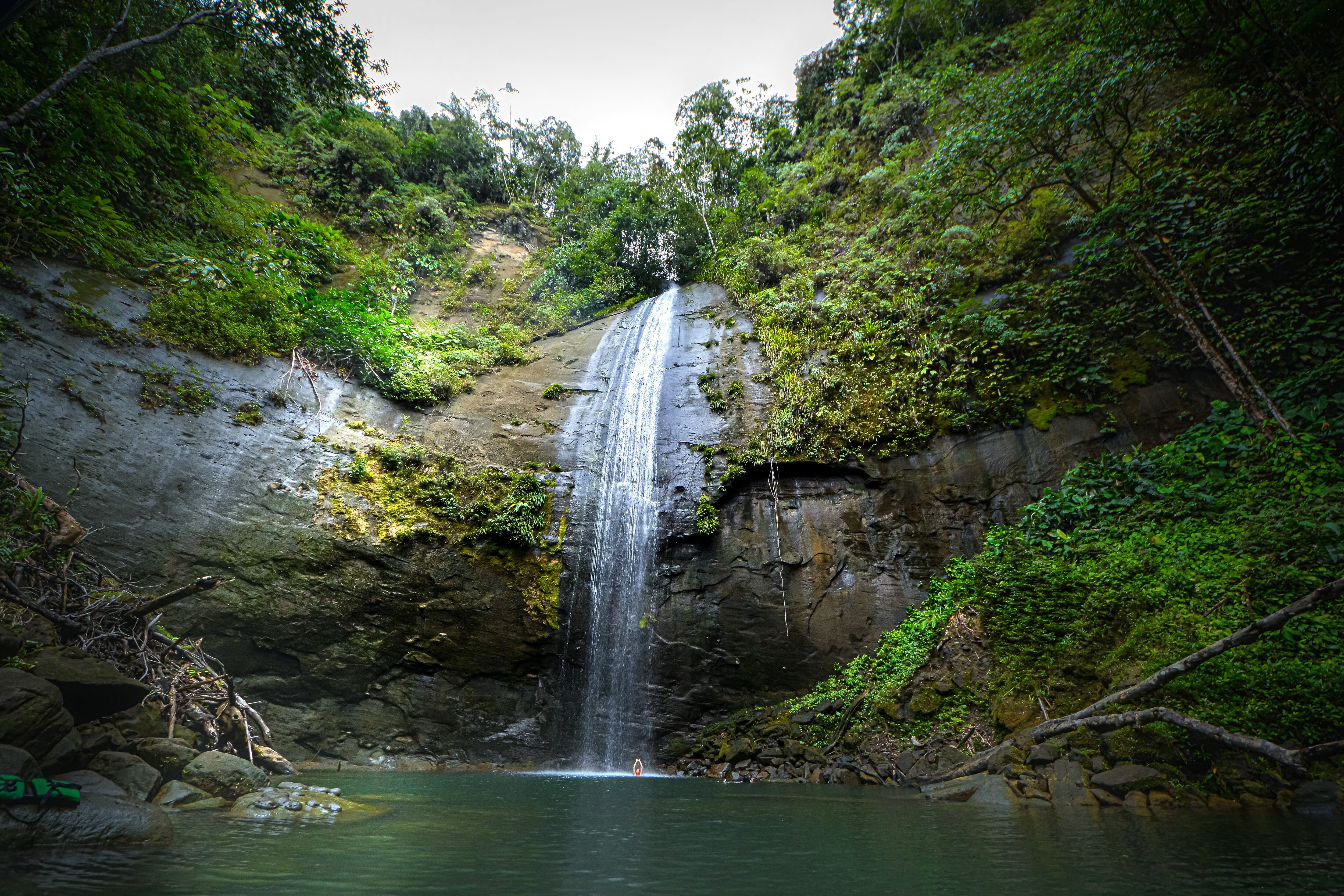 El pacífico colombiano, con sus paisajes de selva húmeda, sus playas, su gastronomía y su biodiversidad, son el sitio turístico, cultural y gastronómico, que atrae a miles de visitantes cada año.