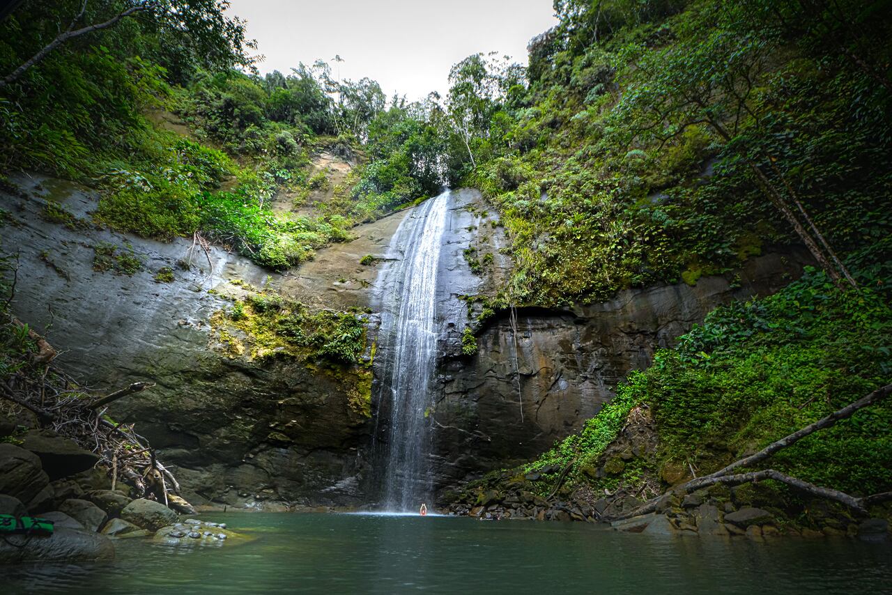 El pacífico colombiano, con sus paisajes de selva húmeda, sus playas, su gastronomía y su biodiversidad, son el sitio turístico, cultural y gastronómico, que atrae a miles de visitantes cada año.