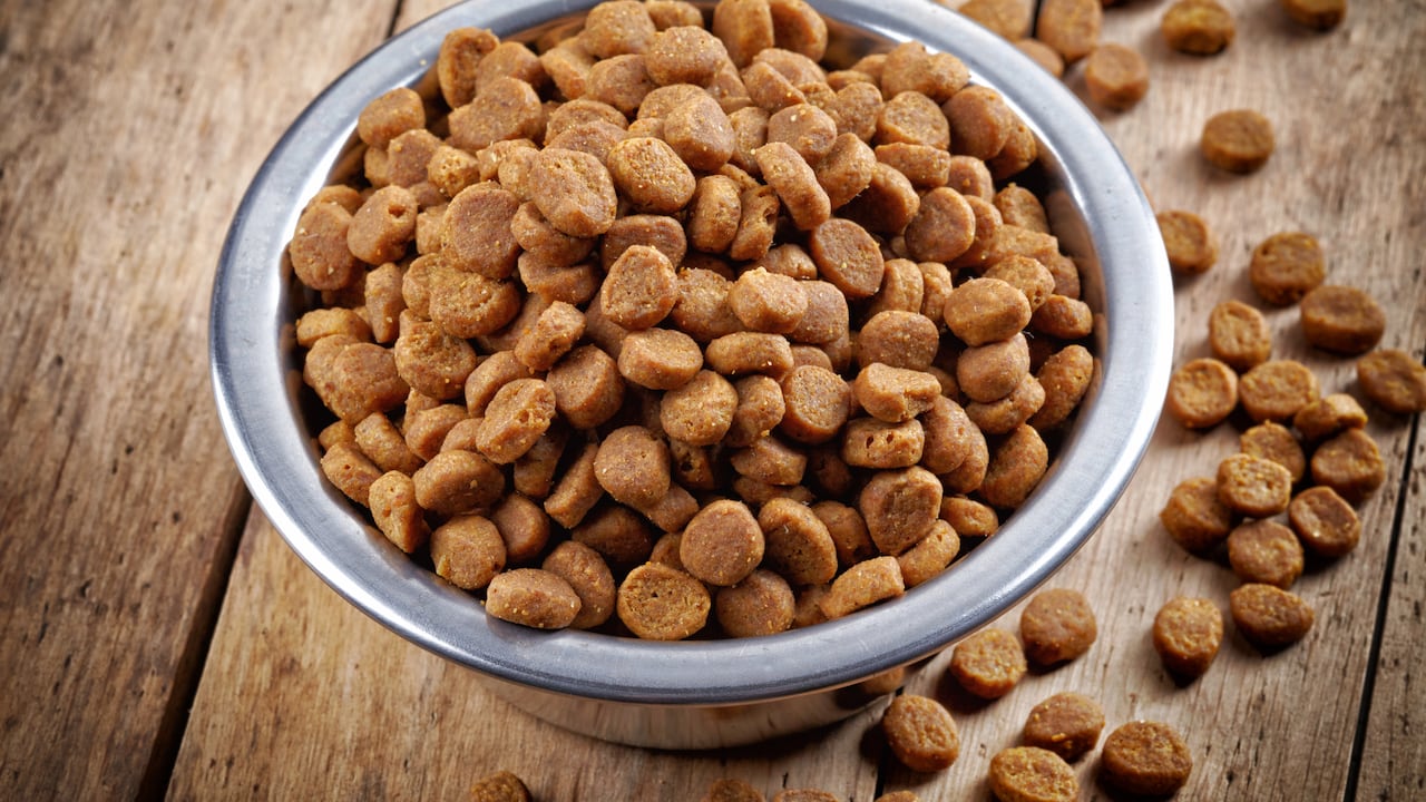 La comida de perro es perjudicial.