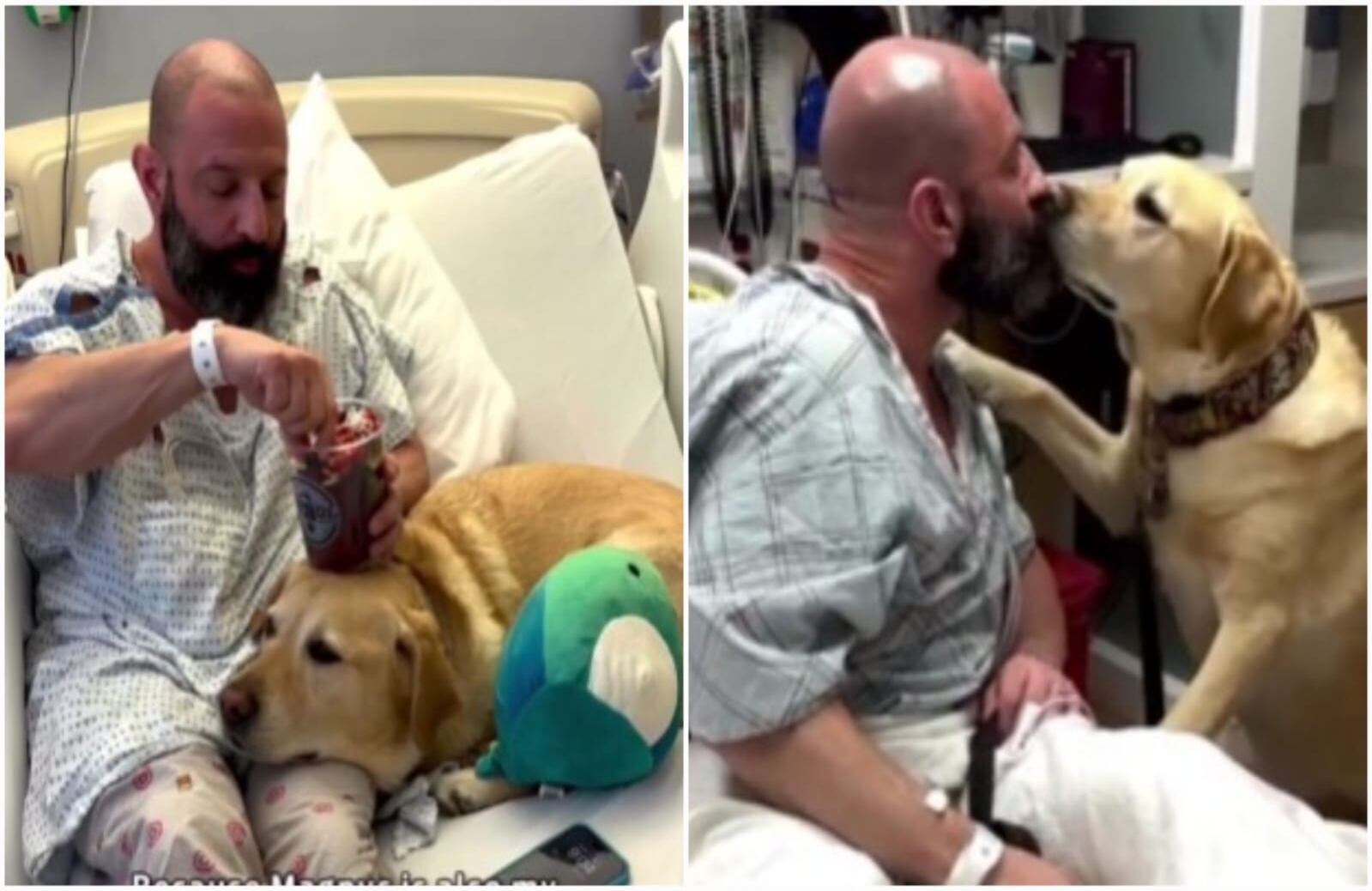 "Soy sumamente afortunado y agradecido por tantas cosas: amigos, familia y; por supuesto, mi hijo 'Magnus'", dijo el dueño del canino.