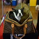 (Photo by Timothy A. CLARY / AFP)