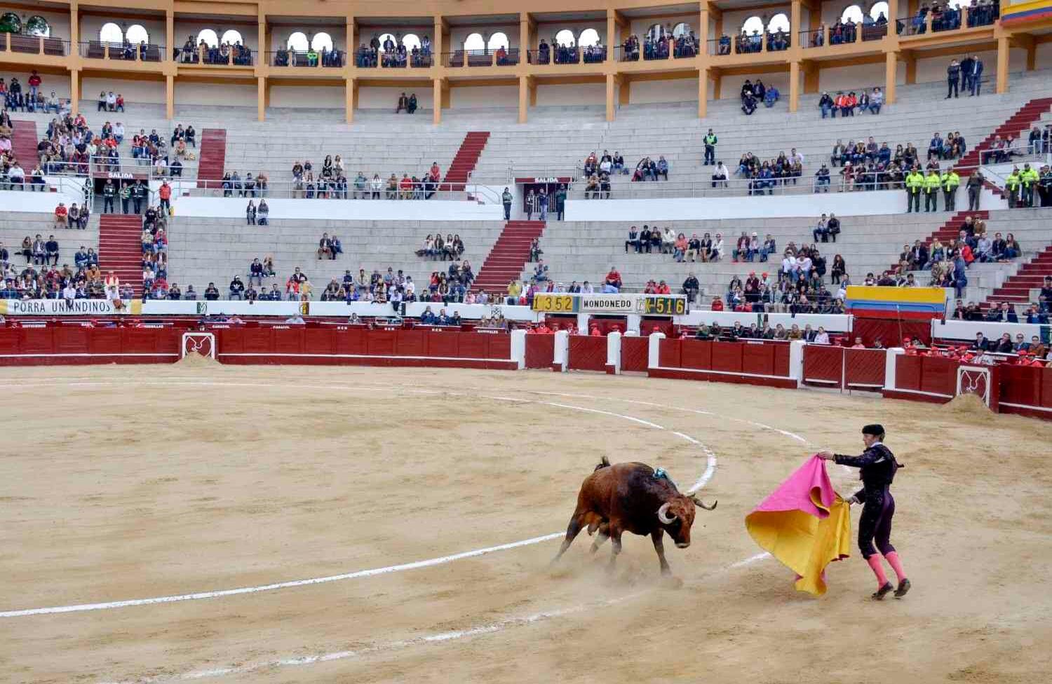 foto: Diana Rey Melo