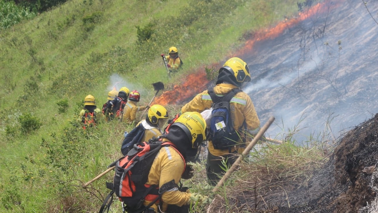Incendio forestal en cerros de Cali ha dejado más de 330 hectáreas afectadas.