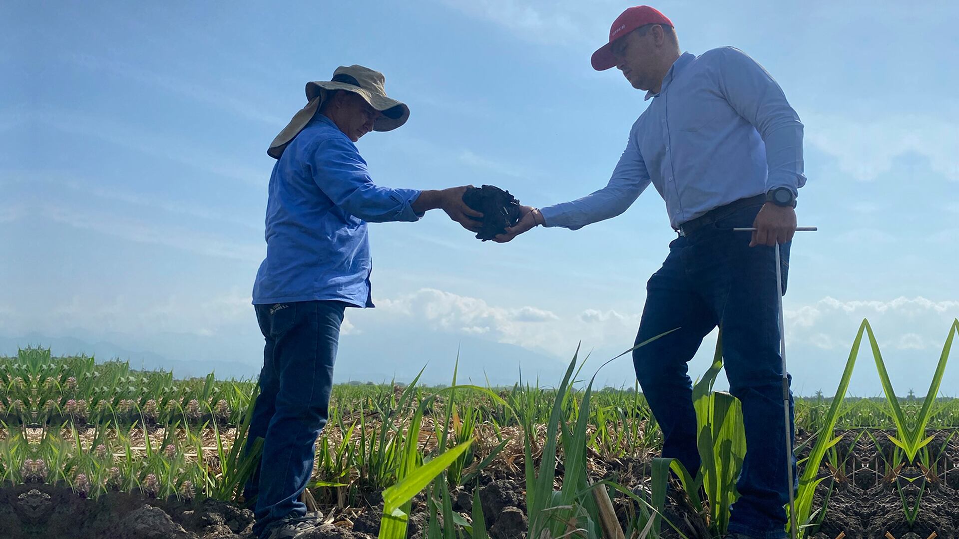 Contenido Riopaila, Viva la Caña, Semana Sostenible