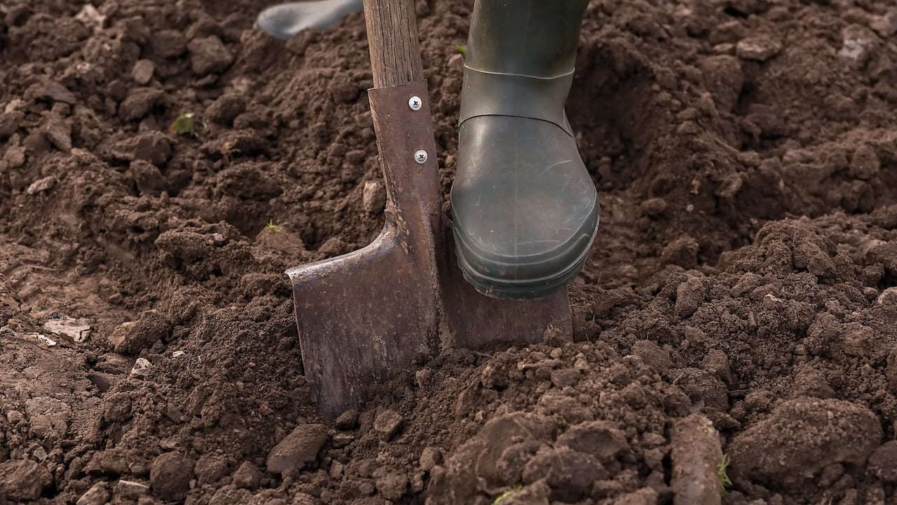 En un principio el agricultor pensó que se trataba de barro.