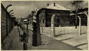 Auschwitz concentration camp -view of the 11th barrack with barbed wire. Source: Museum of O?wi?cim, Poland. - Photos taken by guard or SS. Publication date of postcard not known. Konzentrationslager Auschwitz. Site of murdered Jews. (Photo by Culture Club/Getty Images)