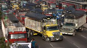 La protesta de un sector de los camioneros cumple 14 días.