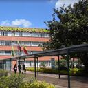 El ICBF anunció priorización de contratos para trabajadores de la entidad.