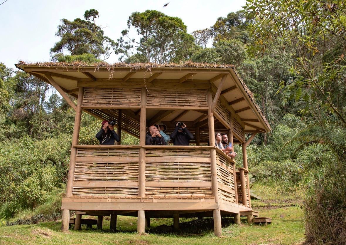 Manizales recupera el pulso del turismo con naturaleza, café y cultura tras la emergencia.